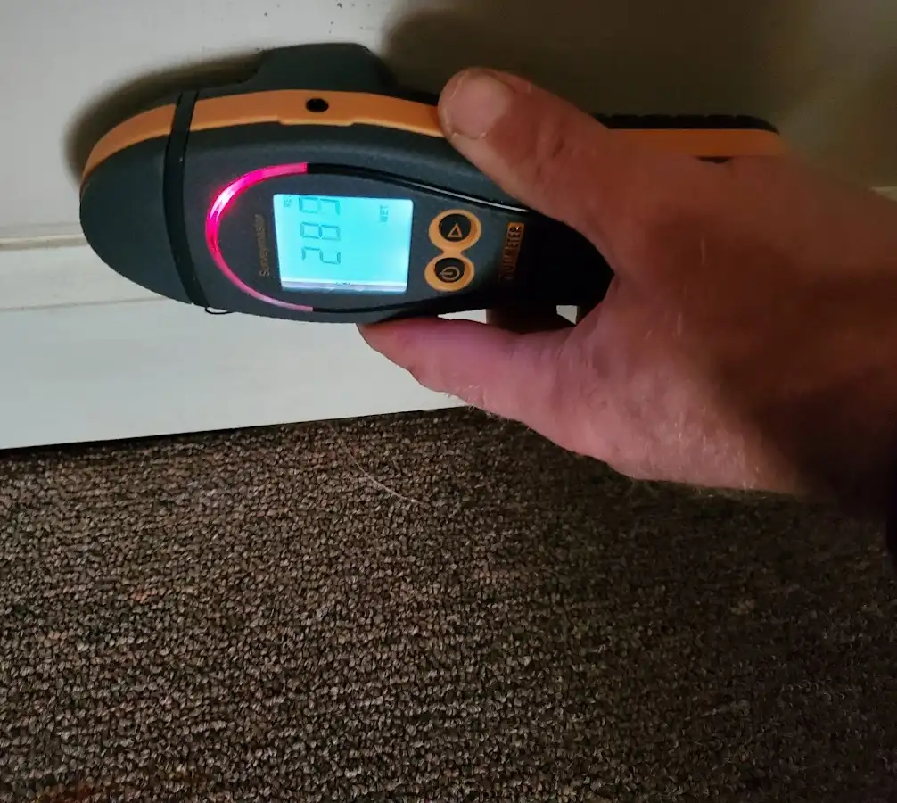 Moisture detection at baseboard during Sewage Cleanup & Sanitation in Walkersville